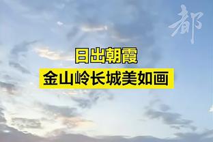 天空体育：多特考虑出售四将，马伦、阿莱、雷纳和聚勒